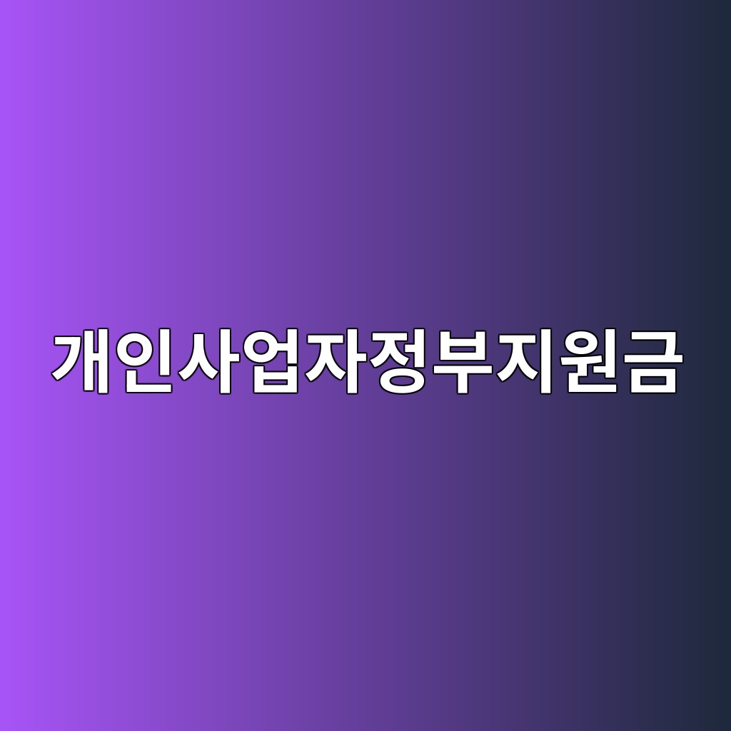 개인사업자정부지원금